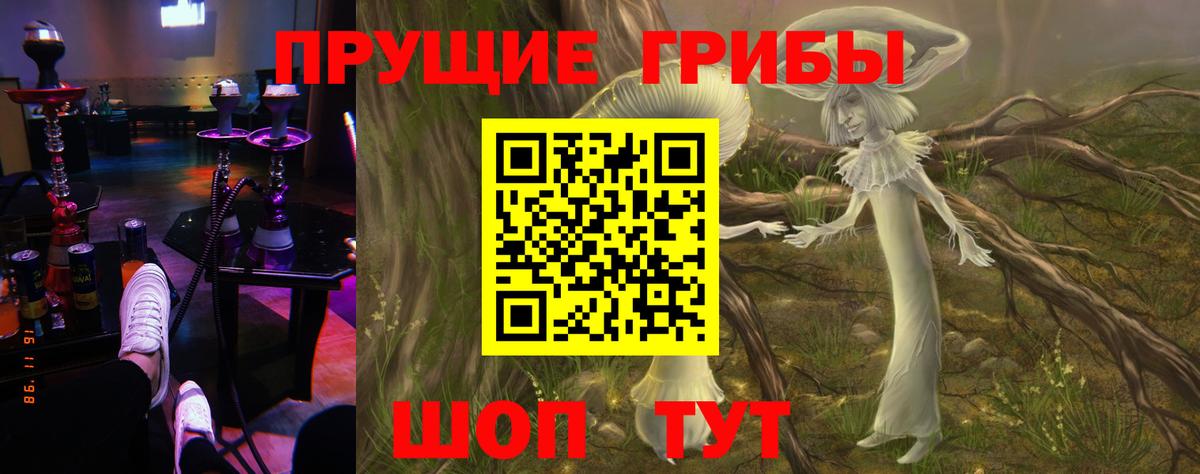 Псилоцибиновые грибы Psilocybe  Вход с VPN  Выборг 