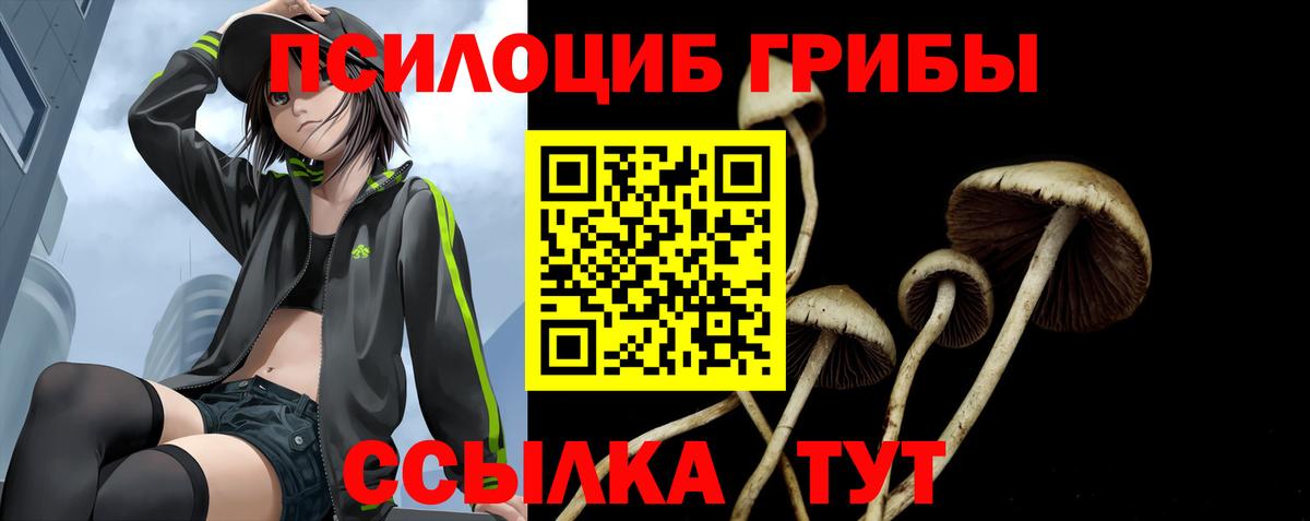 Псилоцибиновые грибы Magic Shrooms Выборг
