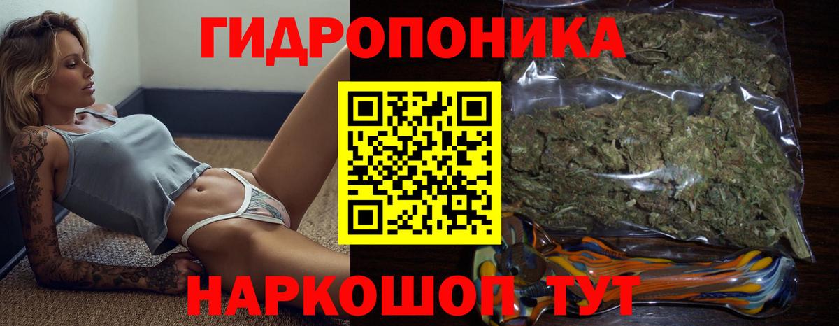 Бошки Шишки ГИДРОПОН Выборг